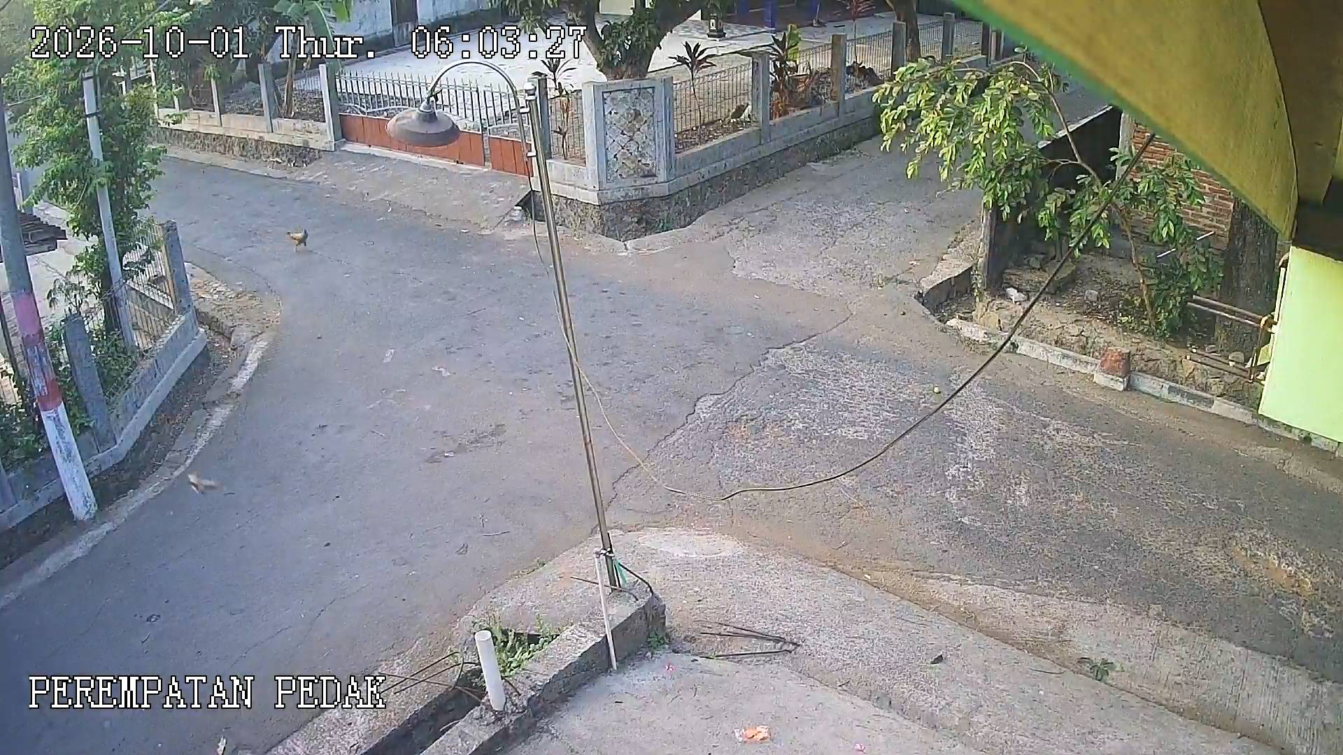PEDAK PEREMPATAN RUMAH PAK ARIS