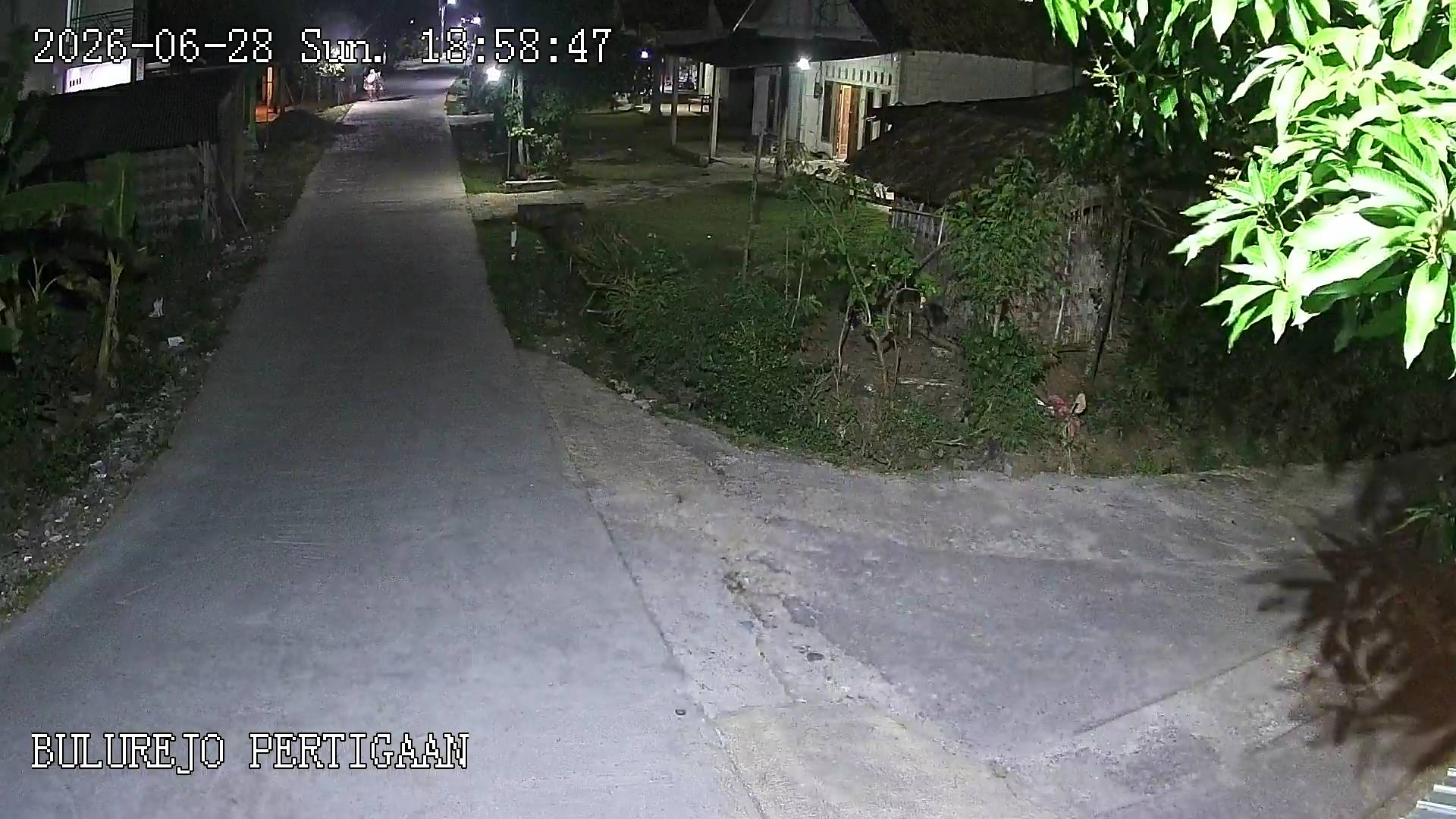 BULUREJO 1 NGROMBO PLUPUH SRAGEN